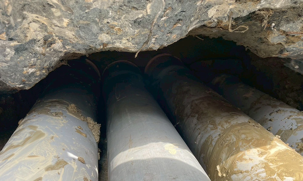 114年 台南新營雞舍