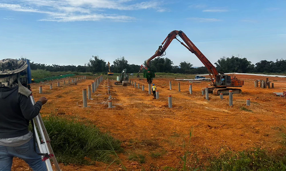 113年 南投松柏林