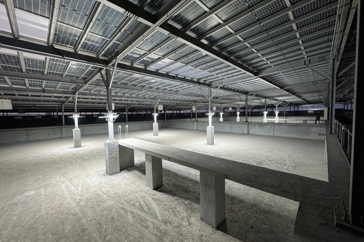 113年 台南七股魚電共生